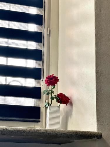two red flowers in a vase on a window sill at Cá d la trifola free parking in Alba