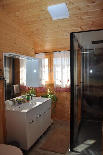 a bathroom with a sink and a shower at Ferienhaus Altmann 1 in Sankt Magdalena