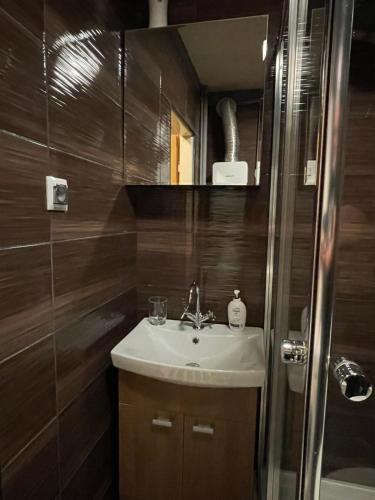 een badkamer met een wastafel en een douche bij PRZYSTANEK KATOWICE Brynowska 55A in Katowice