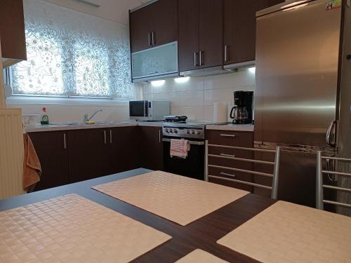 eine Küche mit braunen Schränken und einem Kühlschrank aus Edelstahl in der Unterkunft Central Apartment Ioannina in Ioannina