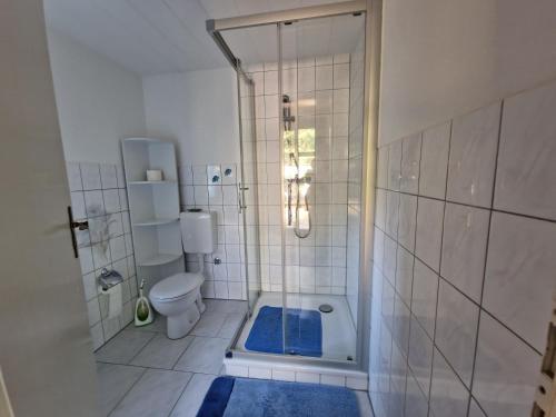 a bathroom with a shower and a toilet with a blue rug at Bungalow in Canow in Wustrow
