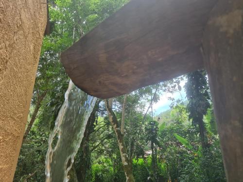 a view of the forest from the inside of a tree at Casa na praia do Felix na cidade de Ubatuba in Ubatuba