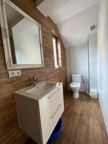 a bathroom with a sink and a toilet and a mirror at Moje Mazury Jeleń in Wilnowo