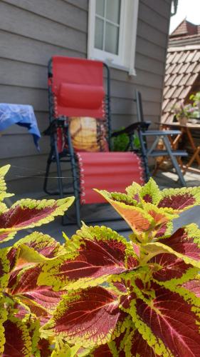 a pair of chairs sitting on the porch of a house at Tinyhaus Wolkenlos Familie Hamdorf in Bad Sulza