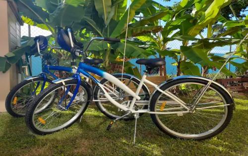 zwei Fahrräder, die nebeneinander im Gras geparkt sind in der Unterkunft Villa By The Bay in Nassau