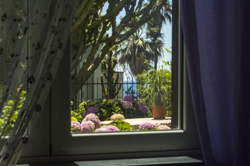Zahrada ubytování Villa Ortensia