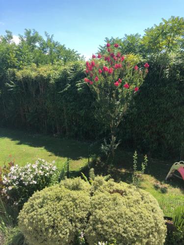Les Hauts de Castets – Photos 5
