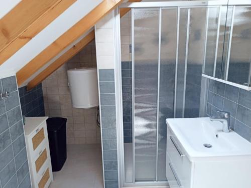 ein Bad mit einer Dusche und einem Waschbecken in der Unterkunft Villa Tanya - modern 3 bedroom house seconds away from the sea in Zaton