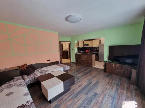 a large room with a bed and a kitchen at Apartment Lozenets in Sofia