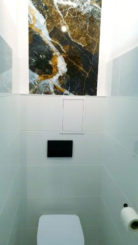 a bathroom with a painting on the wall above a toilet at Best Choice 2-bedroom Apartment in Płock