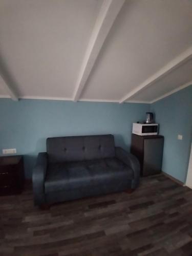 a living room with a couch and a microwave at Апарт-отель "У речки" in Kuchkisabano