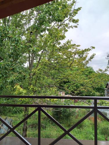 a view of a tree from a balcony at Апарт-отель "У речки" in Kuchkisabano