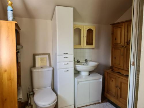 ein Bad mit einem WC und einem Waschbecken in der Unterkunft Never to be booked in York