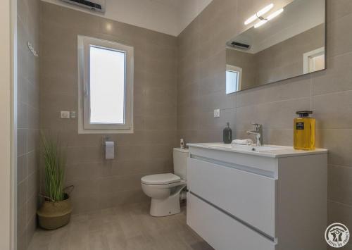 une salle de bain avec toilettes, lavabo et miroir dans l'établissement COSY LODGE TOULOUSE, à Toulouse