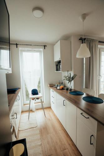 Η κουζίνα ή μικρή κουζίνα στο Blue_Loft