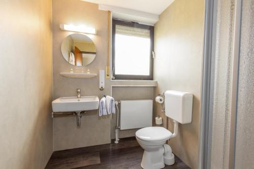 a bathroom with a toilet and a sink and a mirror at Landgasthaus Berns De Bakker in Engden