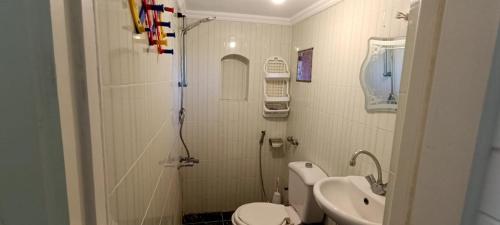 a small bathroom with a sink and a toilet at Marina Villa North Coast Egypt in El Alamein