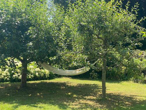 a hammock between two trees in a garden at Ferienwohnung Blumerhaus in Mitlödi in Mitlödi