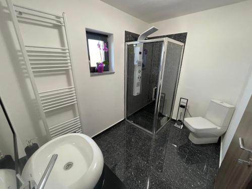 克里斯提安的住宿－Casa Valentina，带淋浴、盥洗盆和卫生间的浴室