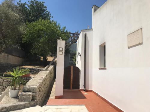 L’Ulivo – Photos 3