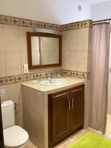 een badkamer met een wastafel, een toilet en een spiegel bij Fiori Di Santa Giulia in Porto-Vecchio