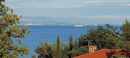 a large boat in the water with a cruise ship at Apartman Nevia lka in Opric