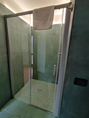 a shower with a glass door in a bathroom at Cascina Flino - Tra le vigne - Appartamento 2 in Alba