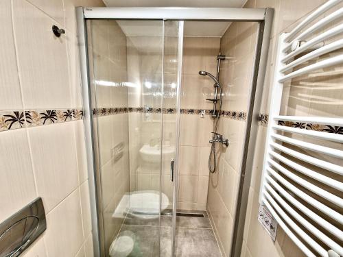 um chuveiro com uma porta de vidro na casa de banho em Ground Floor Apartment em Praga