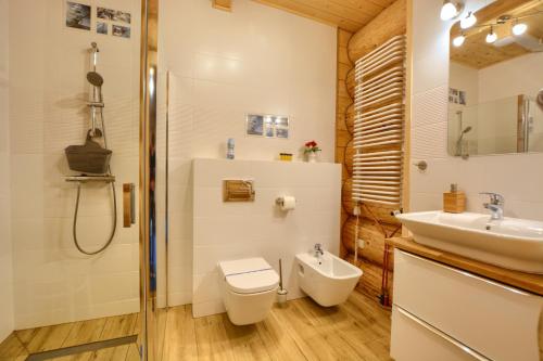 a bathroom with a toilet and a sink at Willa ANTONÓWKA in Kościelisko