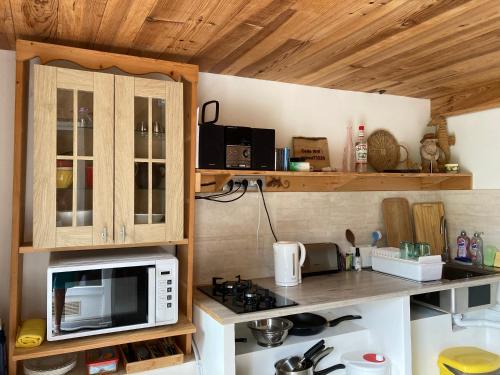a kitchen with a microwave oven and a stove at Les hauts des Durnières in Aiguebelle