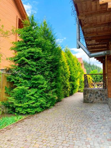 a large green tree is next to a building at Magnolia in Tatariv
