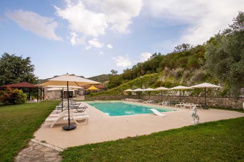 une piscine avec des chaises et des parasols et un chien se tenant à côté de celle-ci dans l'établissement Il Paesaggio Lunare, à Aliano