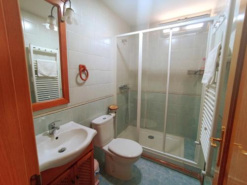 a bathroom with a toilet and a sink and a shower at El Rincón del Sanabrés, cabeza mediana in Rascafría