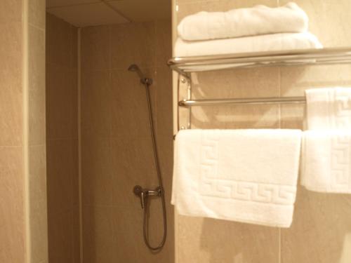 a bathroom with white towels on a towel rack at Pension Viella Asturias in Viella