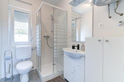 een badkamer met een toilet, een douche en een wastafel bij Damar Apartmani in Senj