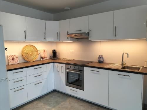 Biała kuchnia z białymi szafkami i zlewem w obiekcie COSY LODGE GITE APPARTEMENT MEUBLE CiTY BREAK w Tuluzie