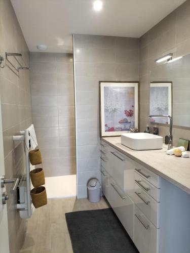 une salle de bain avec un lavabo et une douche dans l'établissement COSY LODGE GITE APPARTEMENT MEUBLE CiTY BREAK, à Toulouse