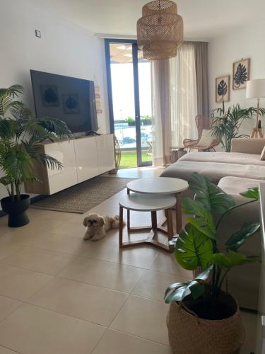 a bedroom with a dog laying on the floor at Villa Bruno con vistas al mar, primera línea de playa in Cotillo