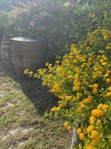 B&B Sunset – Photos 4