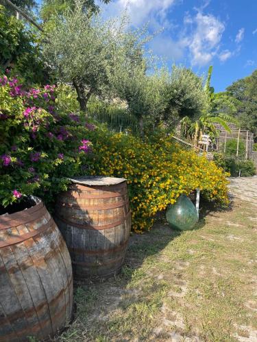 B&B Sunset – Photos 3