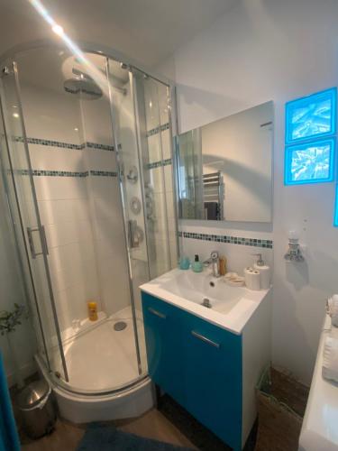 un bagno con doccia, lavandino e specchio di Appartement Veules roses , la cressonnière: « Veules & Victor «  a Veules-les-Roses