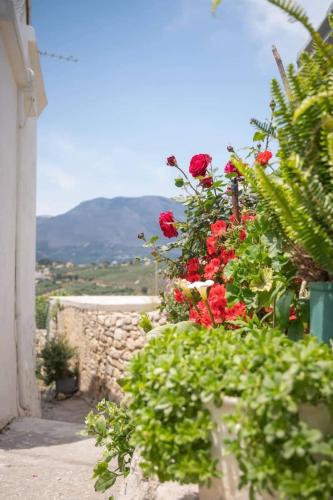 a garden with red flowers and a stone wall at Dioni Stone House in Petrokefalo