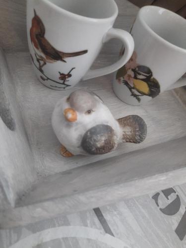 a small bird sitting on a shelf next to cups at B&B Molenaar in Buren