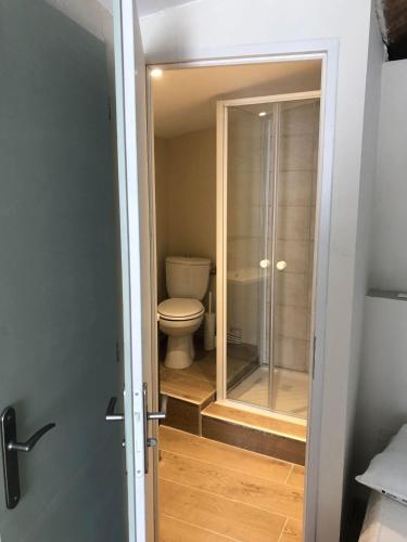 une salle de bain avec toilettes et douche en verre dans l'établissement ARLES: Studio de la place, à Arles
