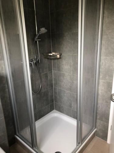 a shower with a glass door in a bathroom at Die Gräfin auf Rügen - Ferienappartements in Parchtitz