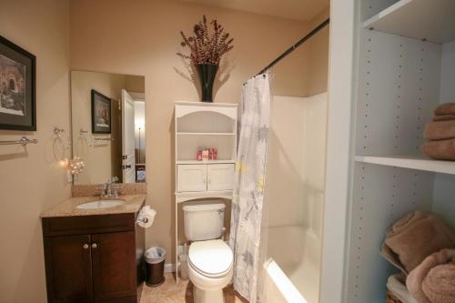 een badkamer met een toilet en een wastafel bij Creekside Cottage in Jacksonville