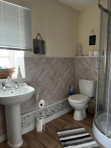 a bathroom with a sink and a toilet and a shower at The nook 21a mill street in Kington