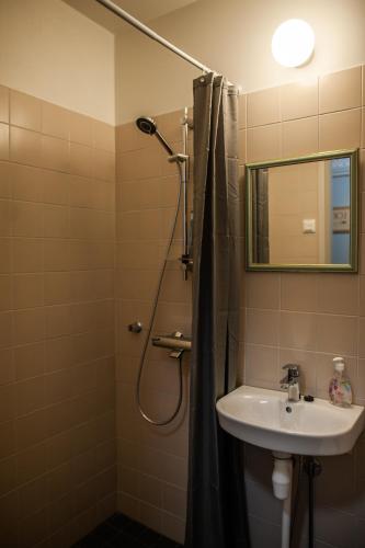 a bathroom with a shower and a sink and a mirror at Matkustajakoti Ykspihlaja in Kokkola
