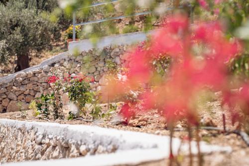 a garden with red flowers and a stone wall at Blue Garden Samos Apartments in Samos