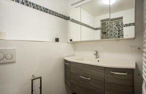 a bathroom with a sink and a mirror at Business Apartment in Kaiserslautern